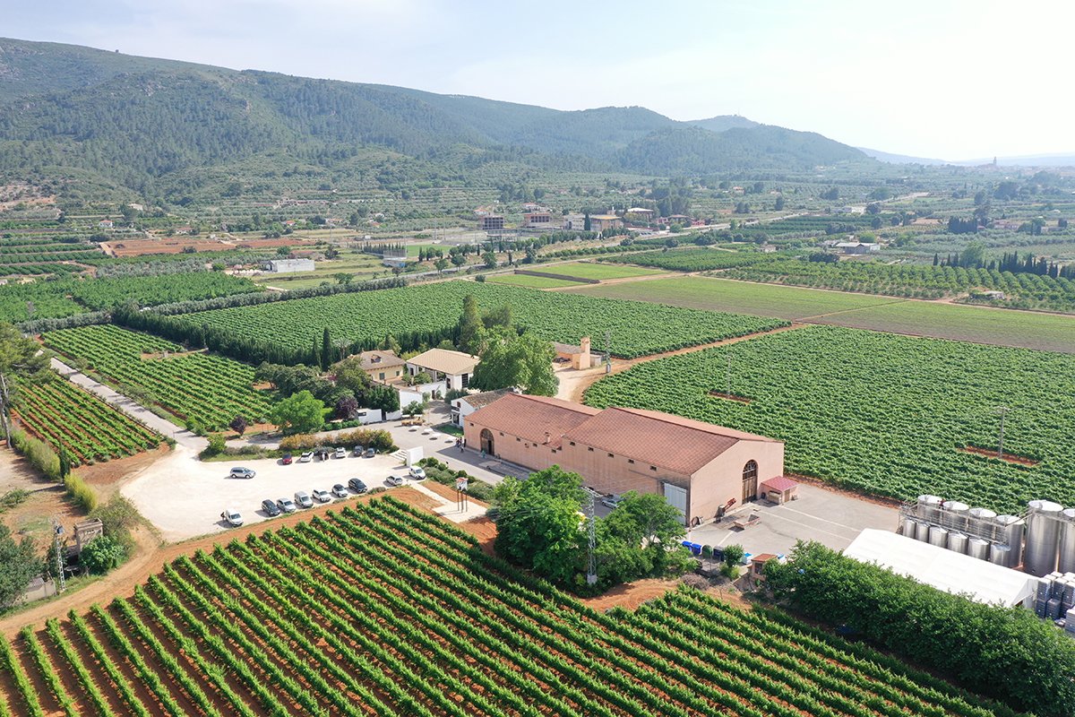 Bodegas Enguera
