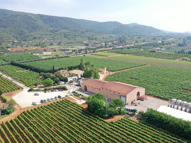 Bodegas Enguera, Enguera, Spain