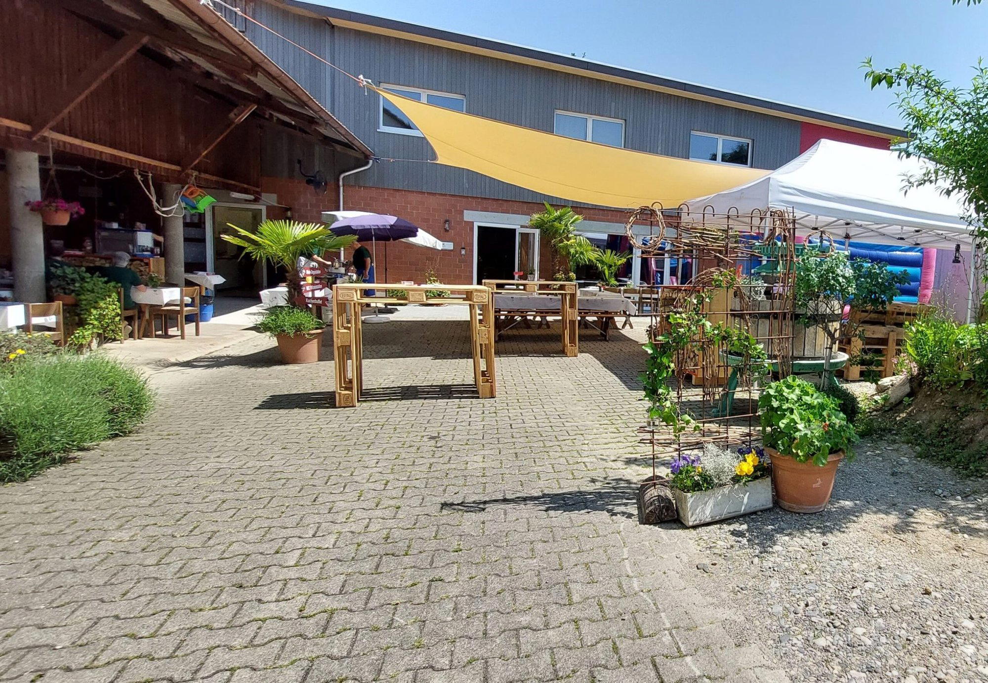 Jeck Weine winery in Zeiningen, Switzerland