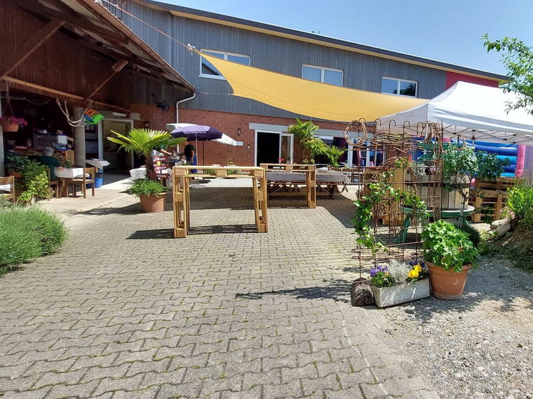 Jeck Weine, Zeiningen, Switzerland
