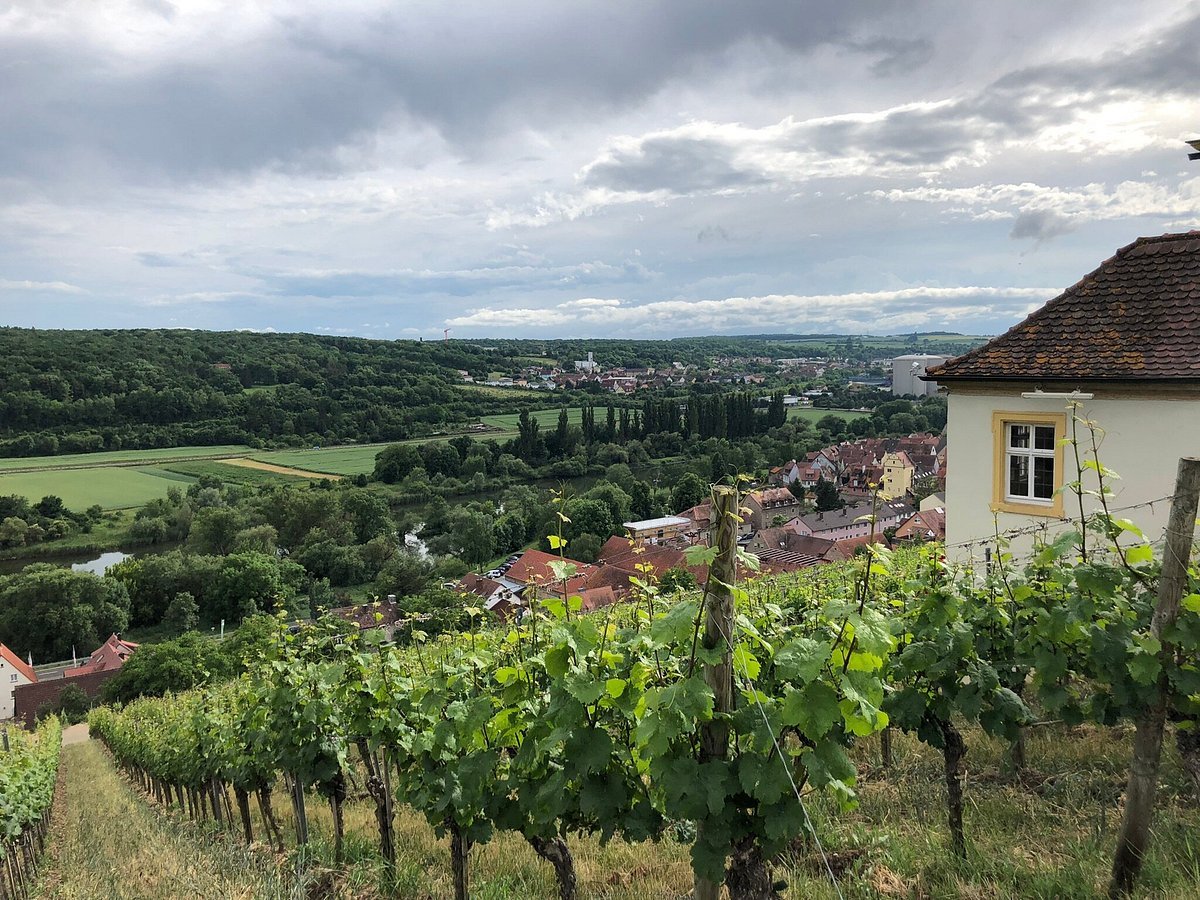 Bio-Weingut Laudens Bach