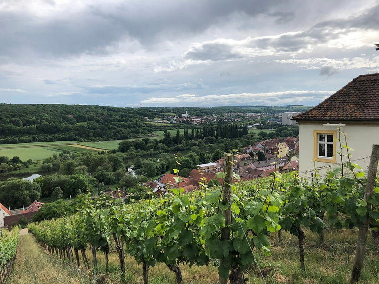 Bio-Weingut Laudens Bach, Frickenhausen Am Main, Germany