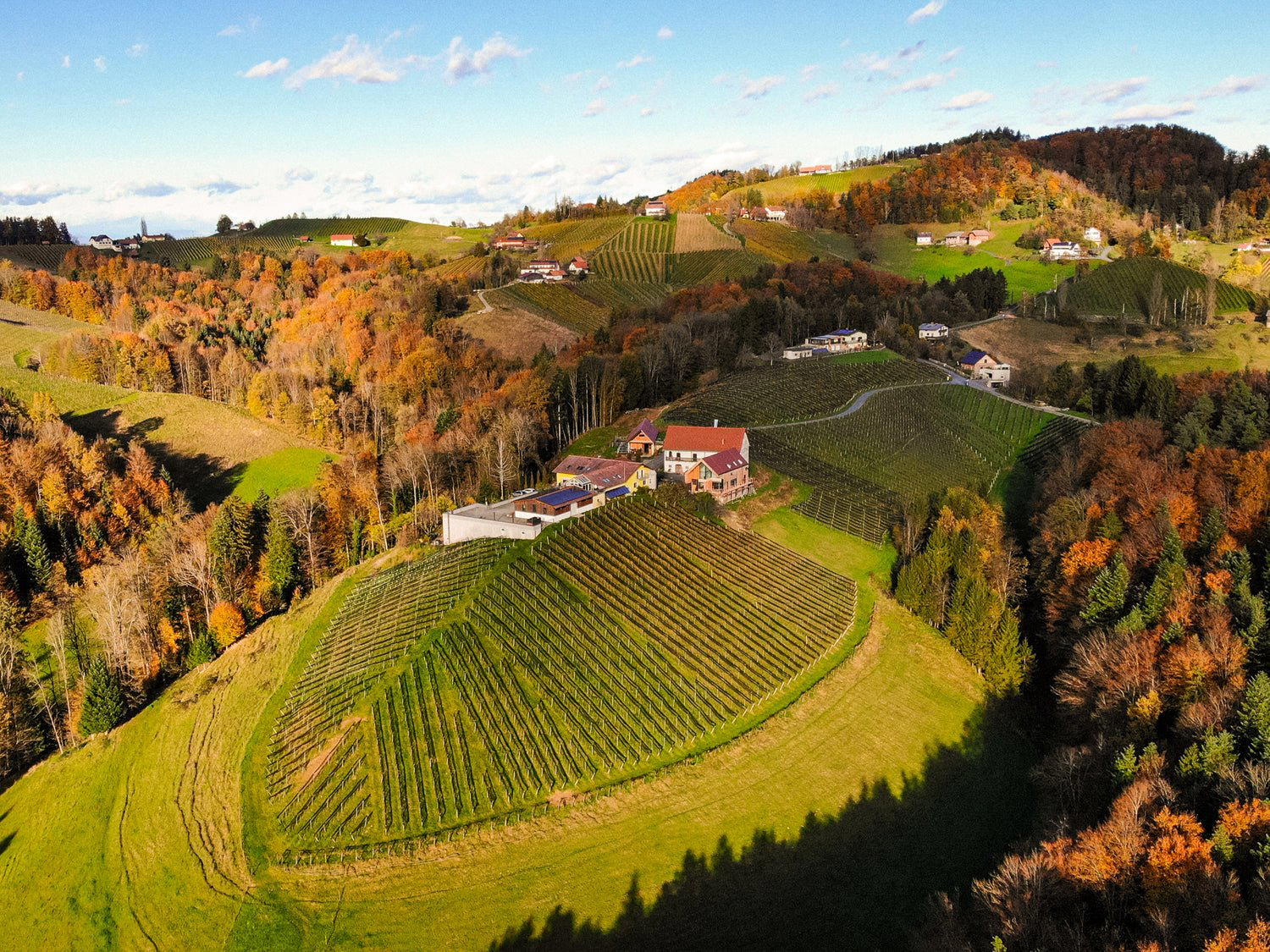 Weingut Masser winery in Leutschach, Austria