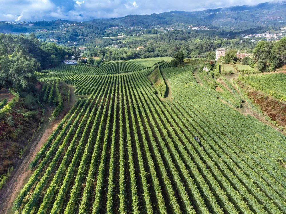 Quinta da Raza winery in Celorico De Basto, Portugal