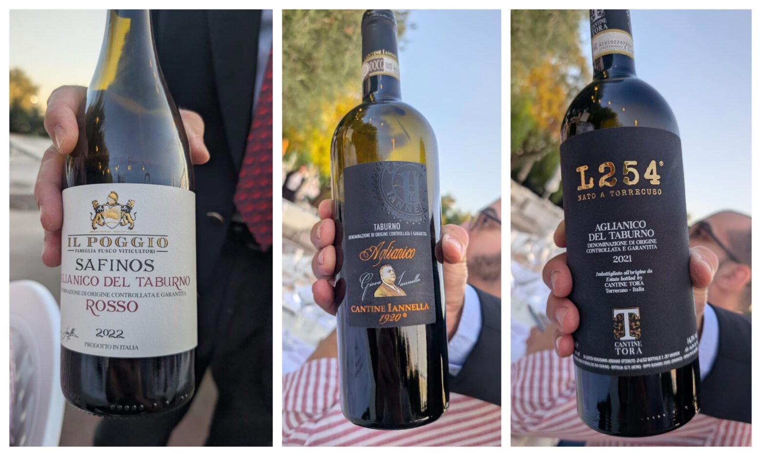 Cantine Tora winery in Torrecuso
