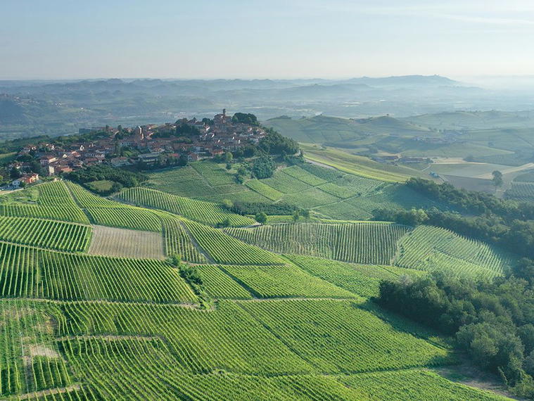 Comm. G.B. Burlotto, Verduno, Italy