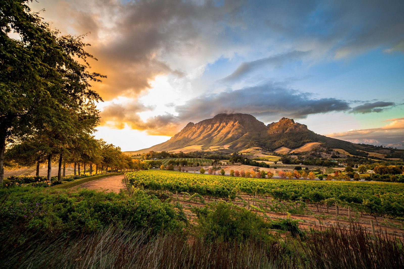 Boschkloof Wines