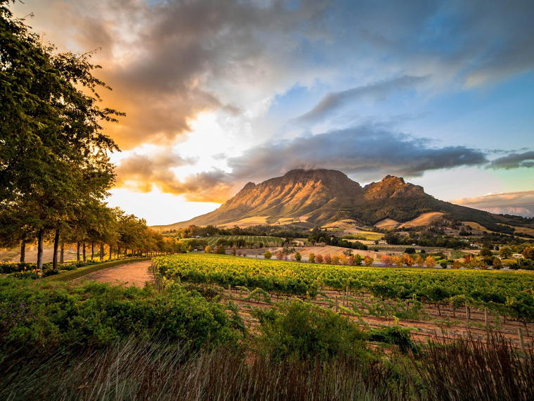 Boschkloof Wines, Stellenbosch, South Africa