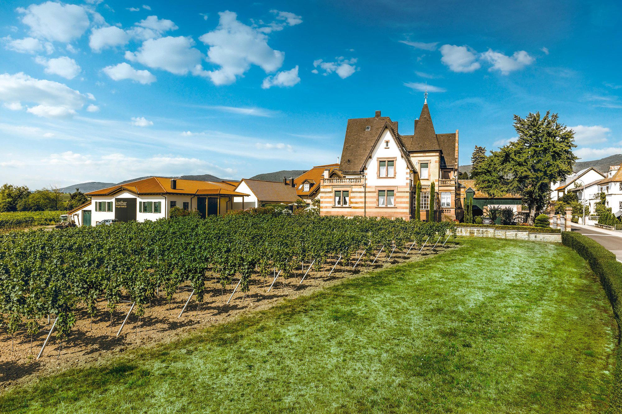 Weingut Faubel winery in Maikammer