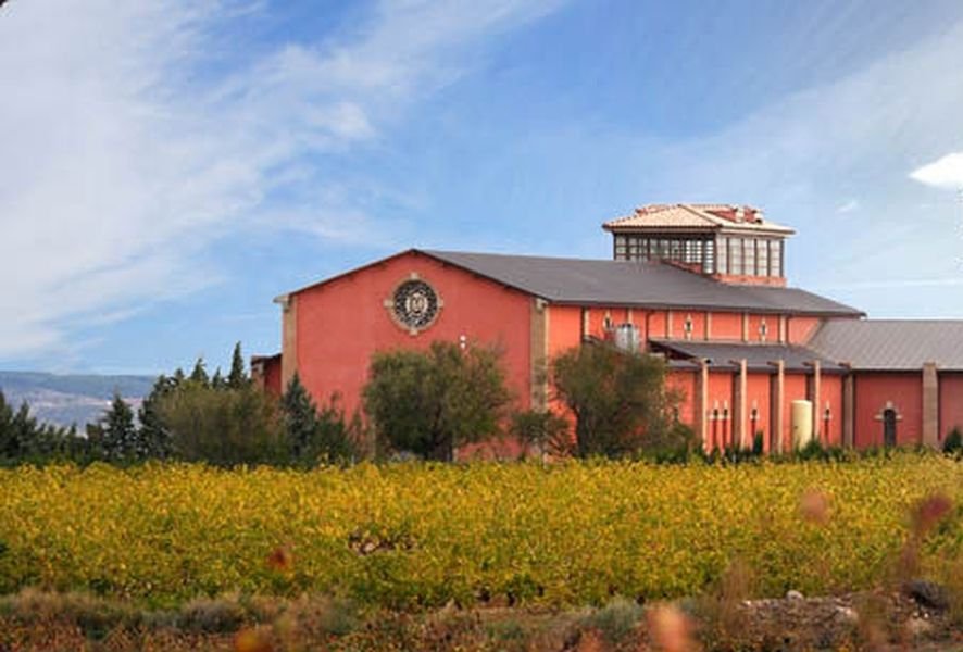 Bodegas Viñedos de Aldeanueva
