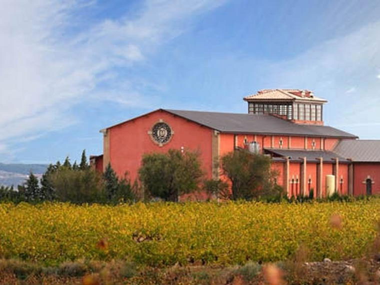 Bodegas Viñedos de Aldeanueva, Aldeanueva De Ebro, Spain