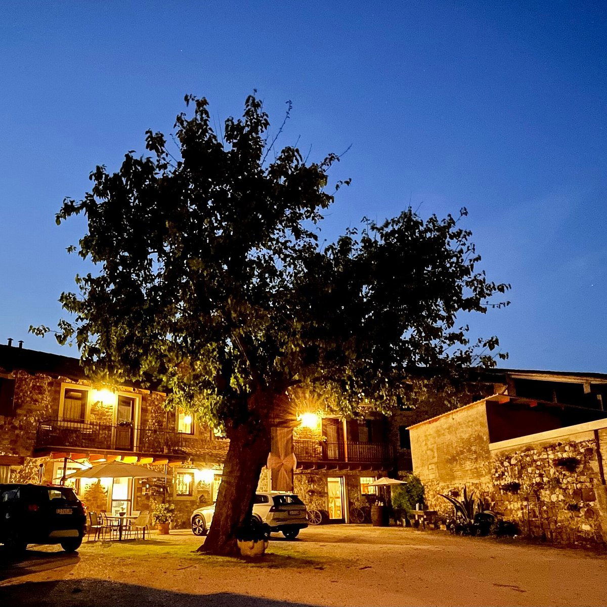 Aquila del Torre, Winery in Povoletto
