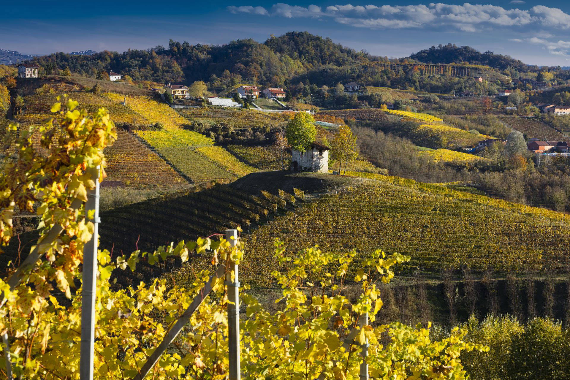 Angelo Negro, Winery in Monteu Roero