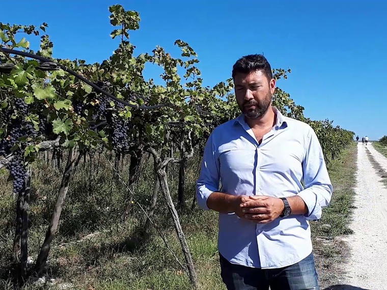 Azienda Agricola Cefalicchio Sarl, Canosa Di Puglia, Italy