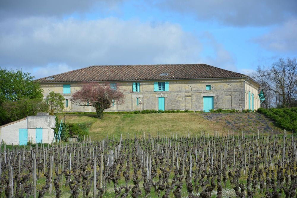 Château Rocher Corbin, Winery in Montagne Saint Emilion