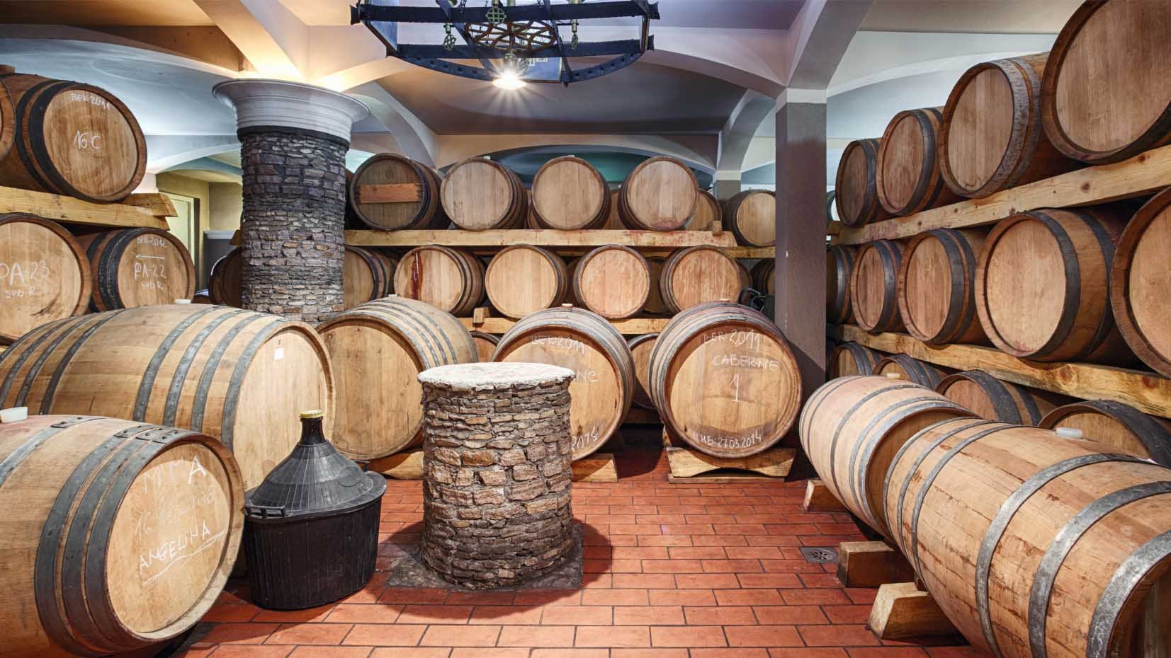 Vino Budimir winery in Aleksandrovac