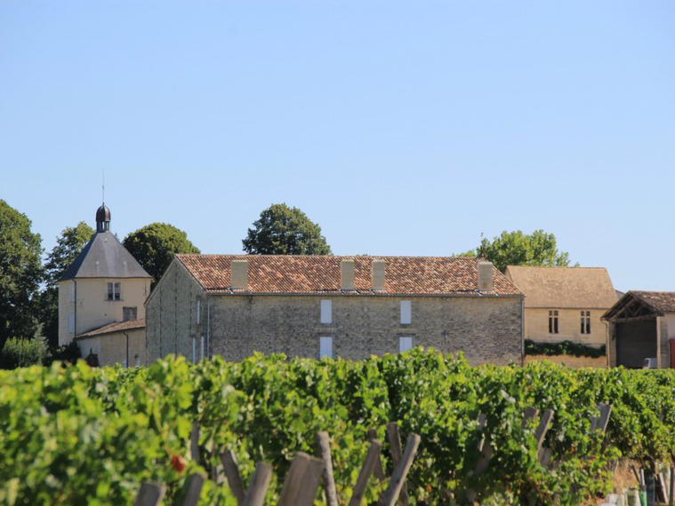 Château Cantin, Saint-Christophe-des-Bardes, France