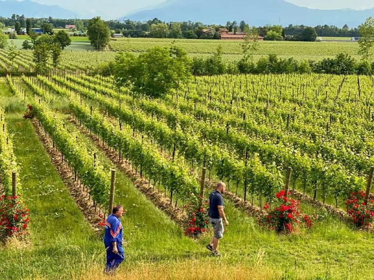 Cantina Saottini, Lonato Del Garda, Italy