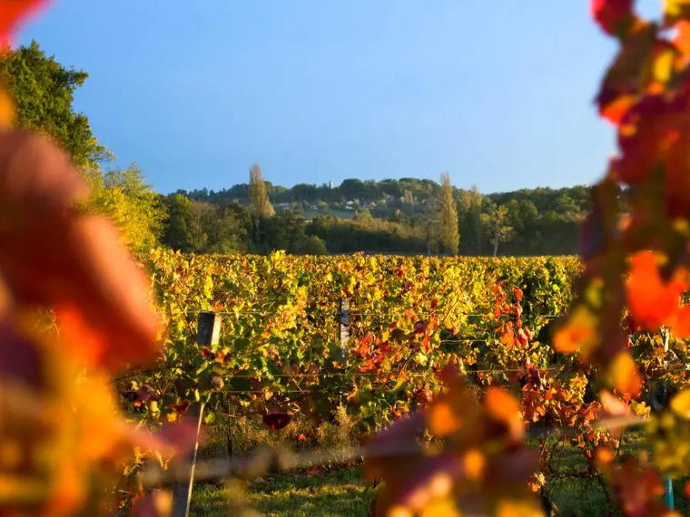 Château Fleur Haut Gaussens, Verac, France