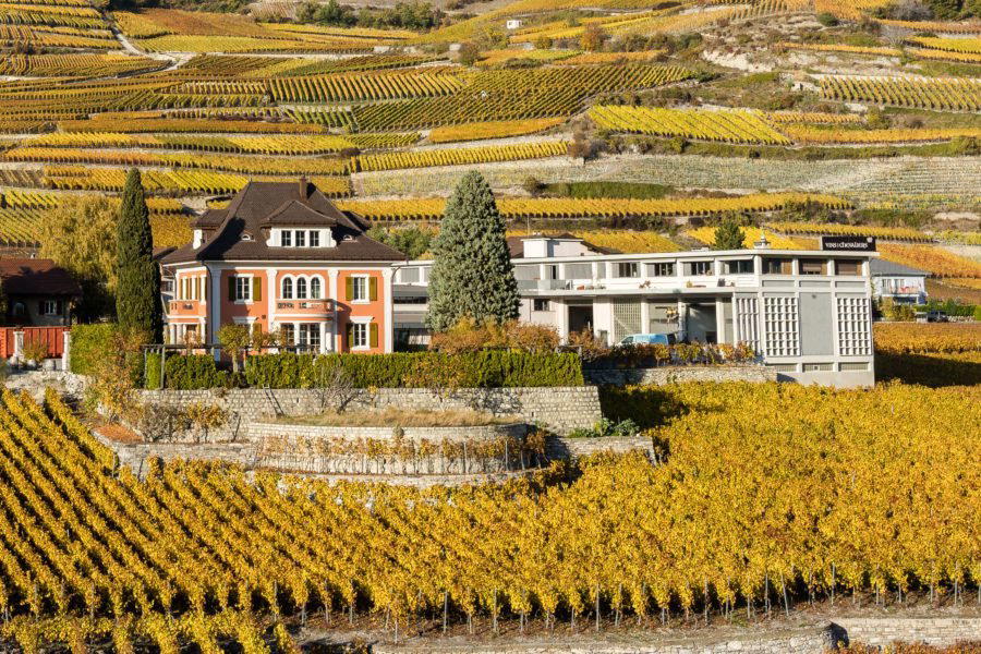 Maison Gilliard winery in Sion, Switzerland