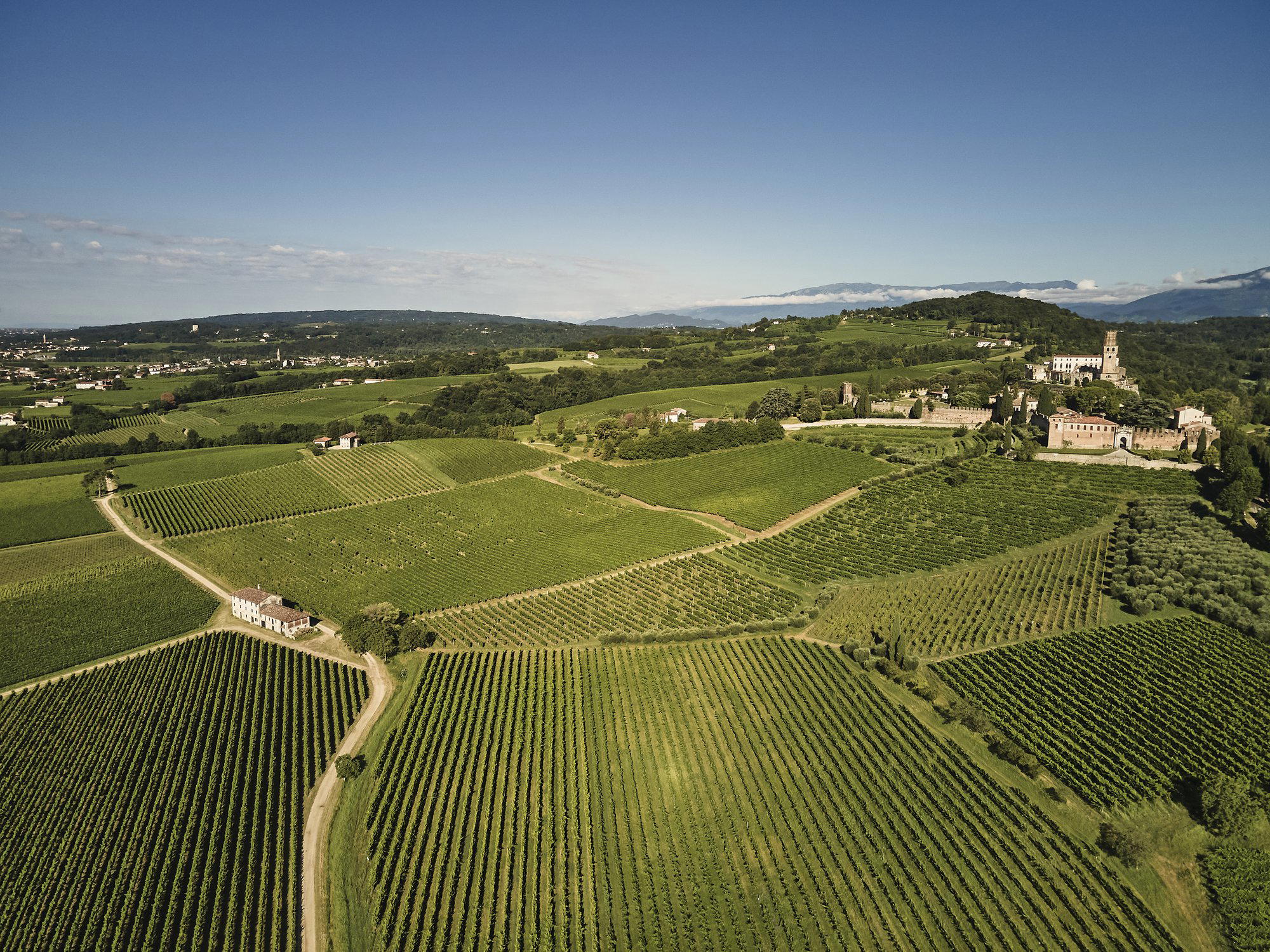 Conte Collalto winery in Susegana