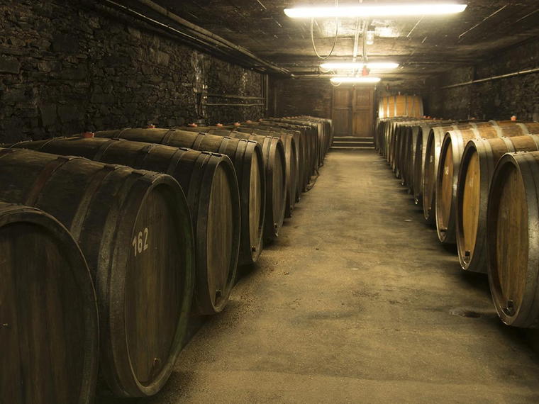 Weingut Selbach-Oster, Zeltingen-Rachtig, Germany