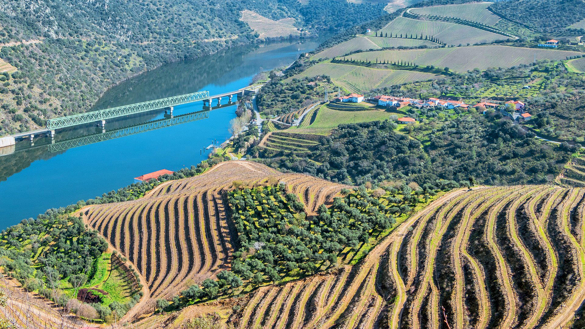 Quinta das Tecedeiras winery in Sao Joao Da Pesqueira, Portugal
