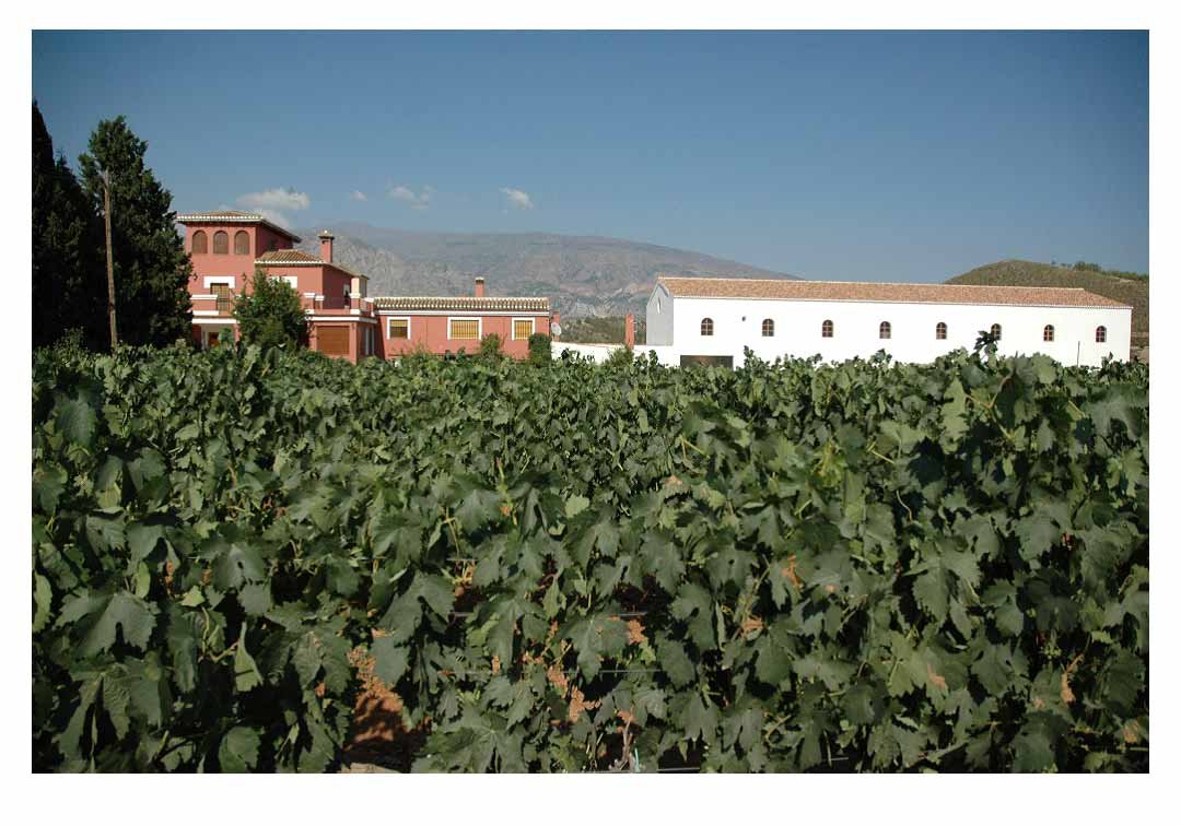 Bodegas Horacio Calvente