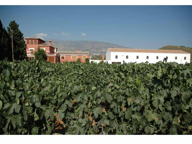 Bodegas Horacio Calvente, Jete, Spain