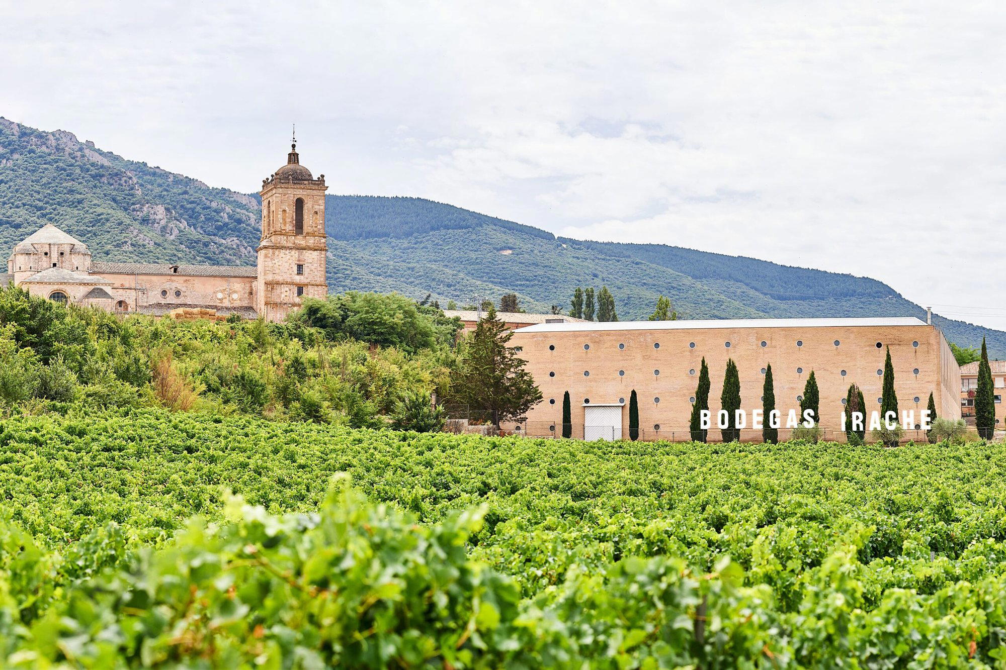 Bodegas Olimpia winery in Caseda