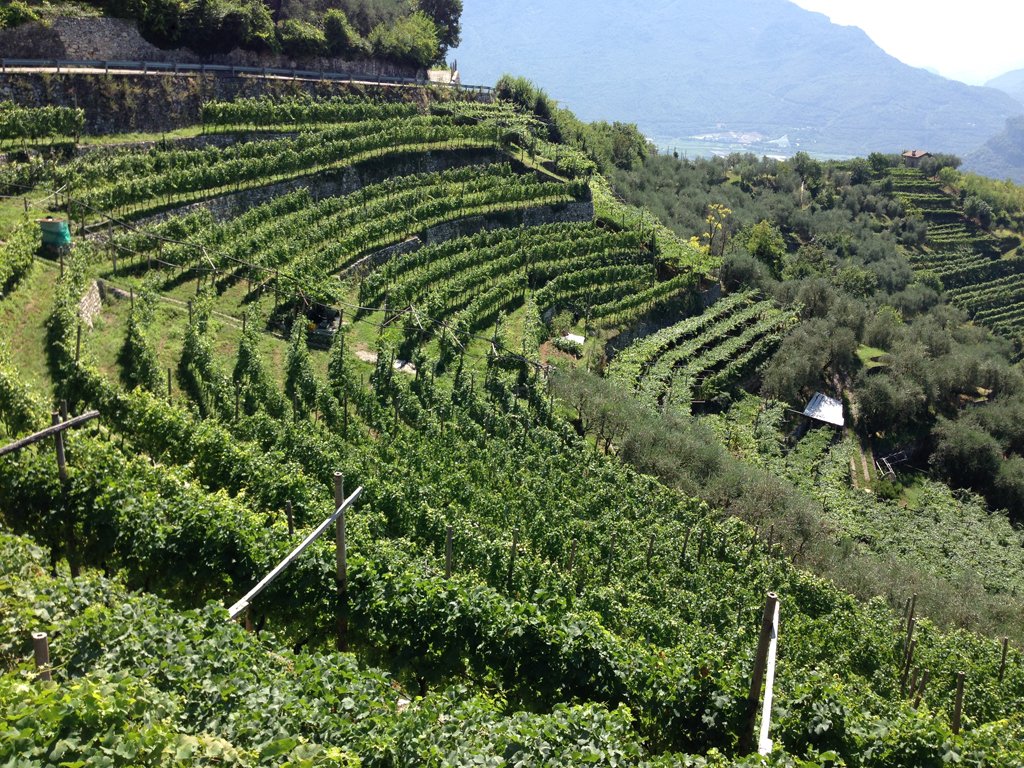 Cavit, Trento, Italy