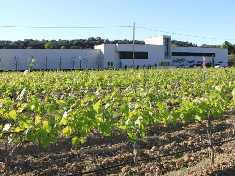 Bodega Otto Bestué, Enate, Spain