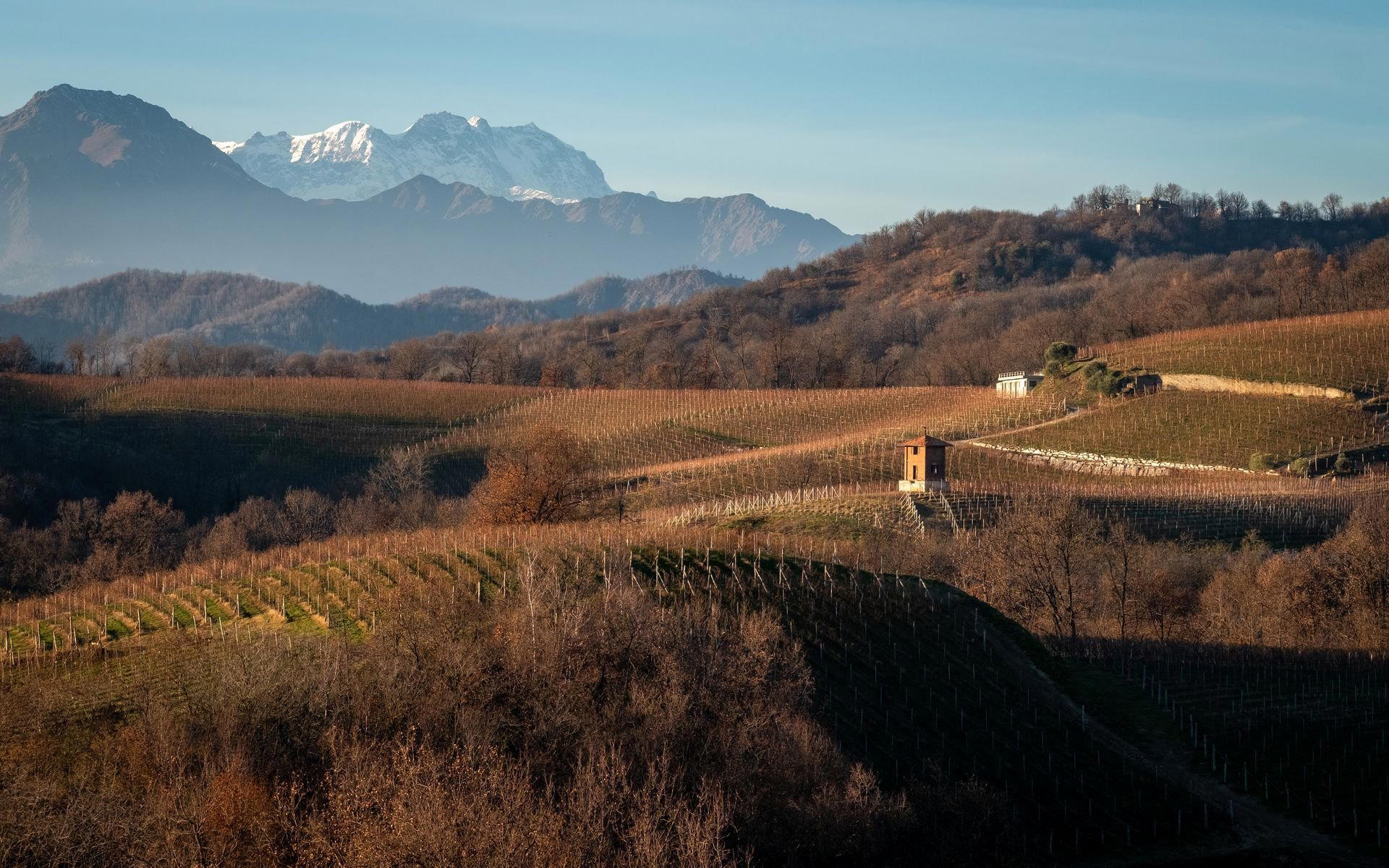 Travaglini Giancarlo winery in Gattinara