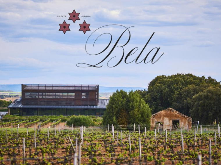 Altos Del Terral, Aranda de Duero, Spain