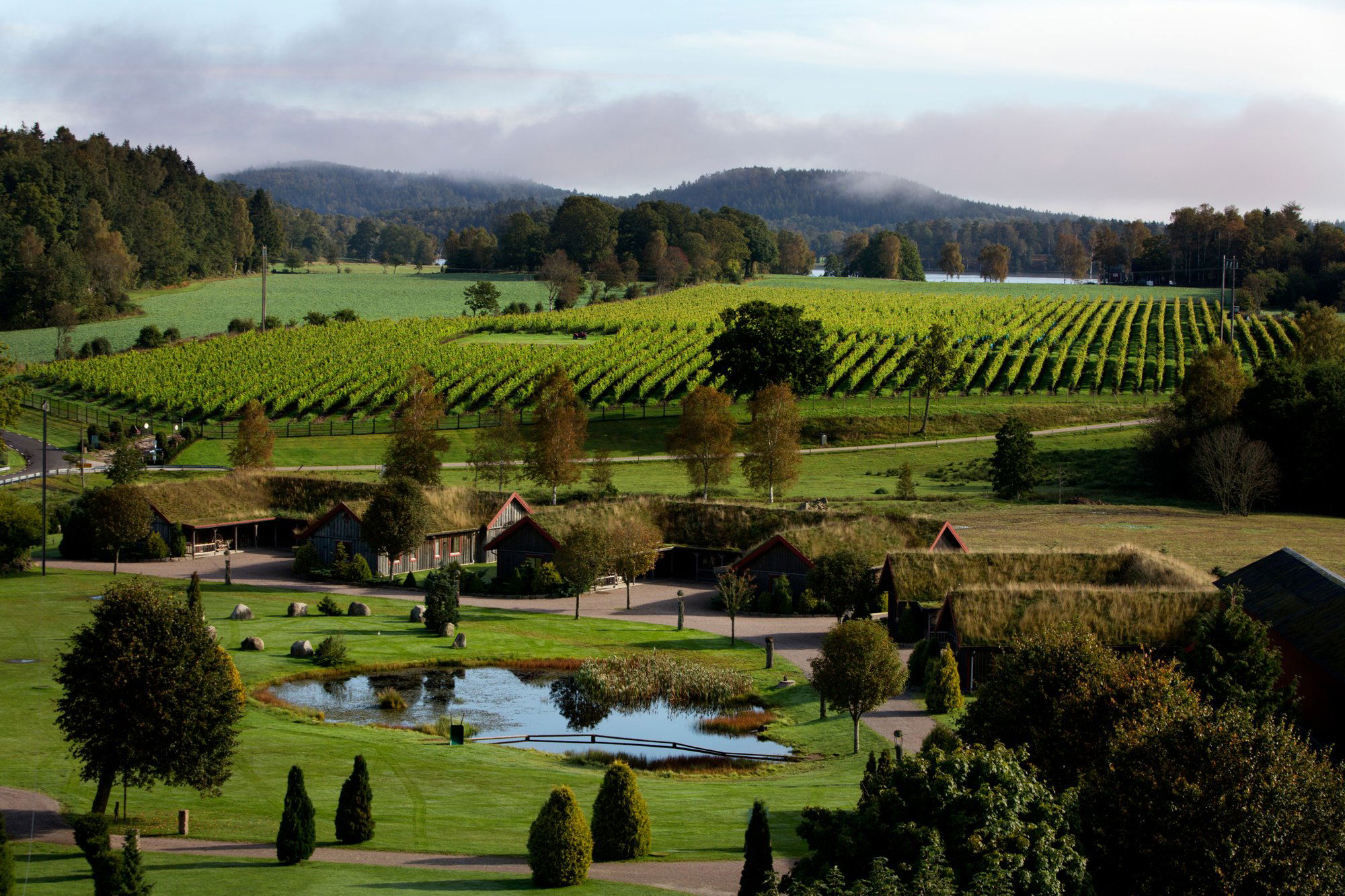 Arilds Vingård, Winery in Arild