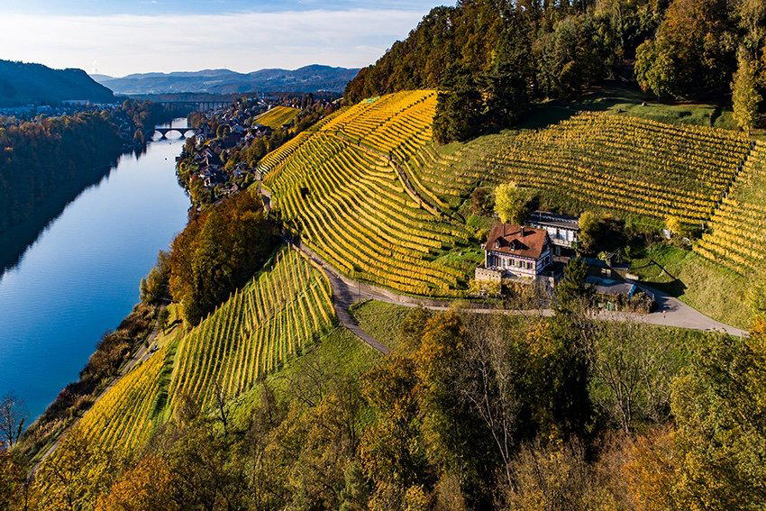 Bio-Weingut Wingert winery in Nussbaumen, Switzerland