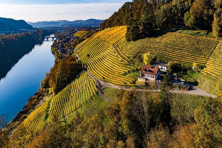 Bio-Weingut Wingert, Winery in Nussbaumen