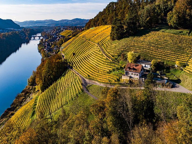 Bio-Weingut Wingert, Nussbaumen, Switzerland