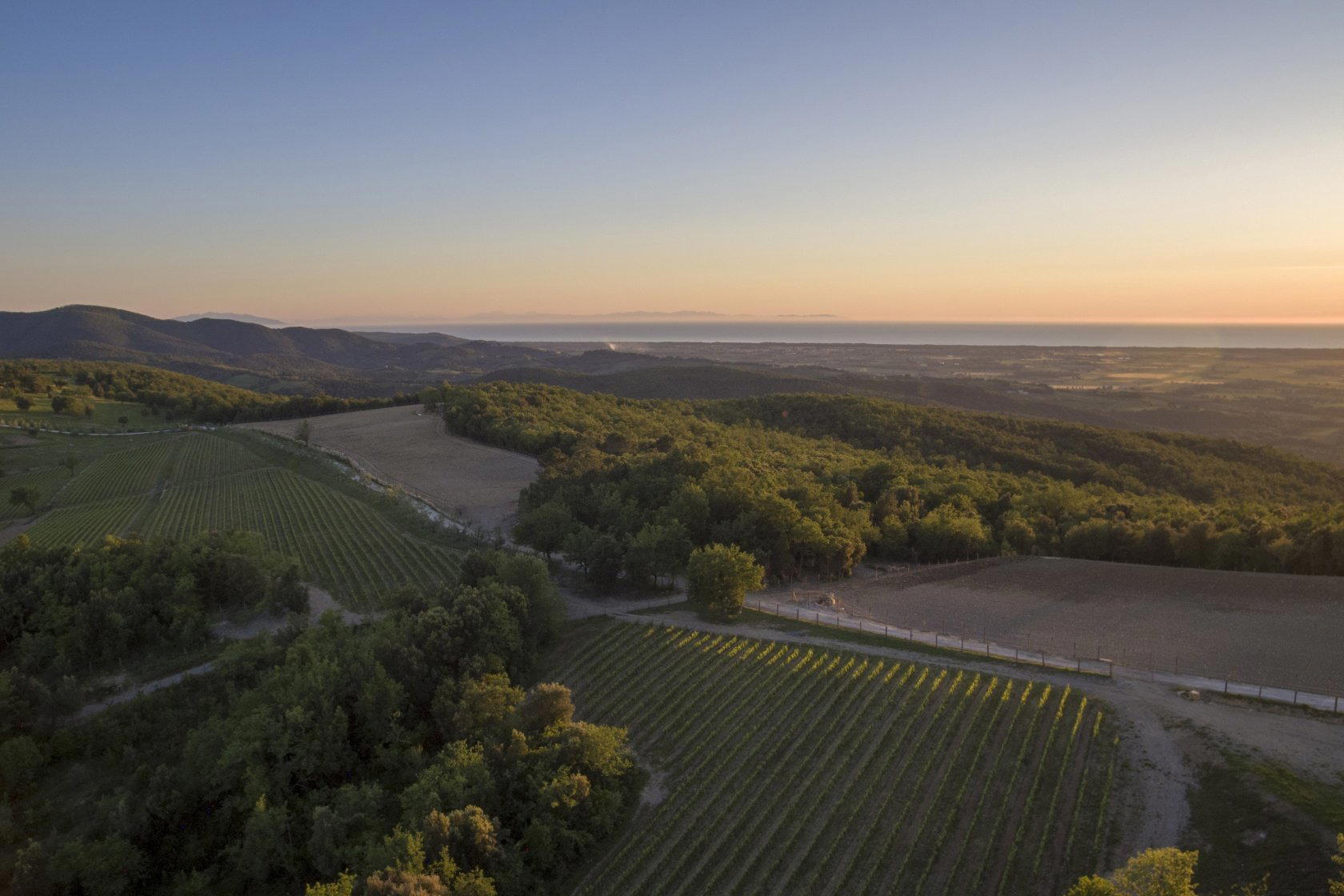 Tenuta Sette Cieli winery in Bibbona