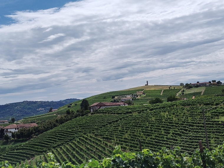 Bocchino Giuseppe, Canelli, Italy