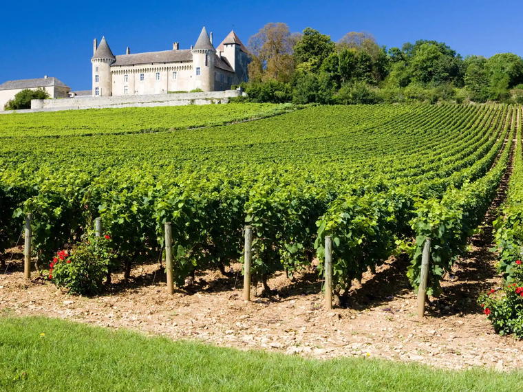 Benoit Mulin, Arbois, France