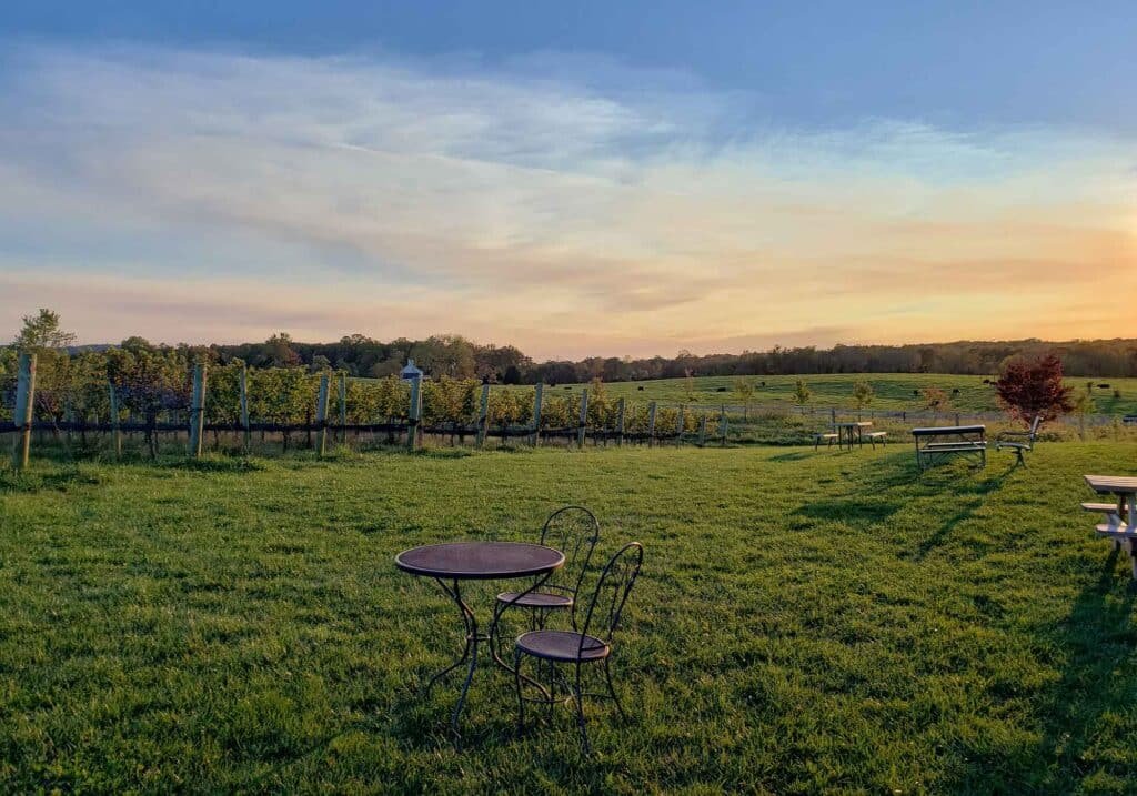 Chestnut Oak Vineyard