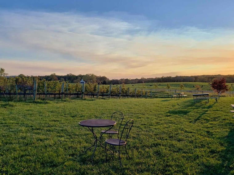 Chestnut Oak Vineyard, Barboursville, United States
