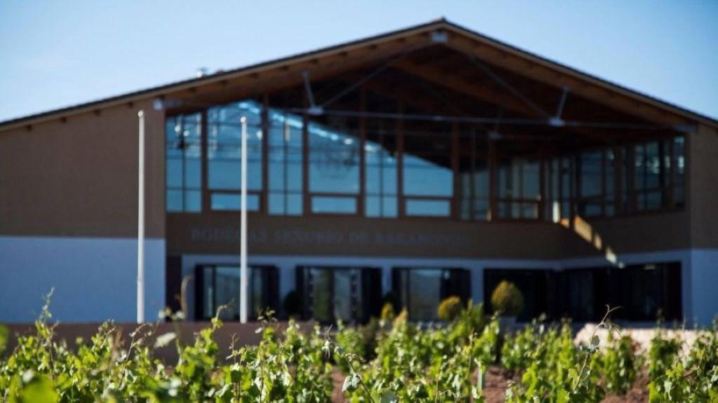Bodegas Barahonda, Yecla, Spain