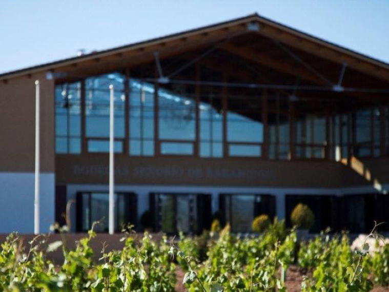 Bodegas Barahonda, Yecla, Spain