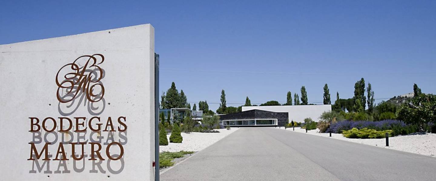 Bodegas Mauro, Winery in Tudela Del Duero