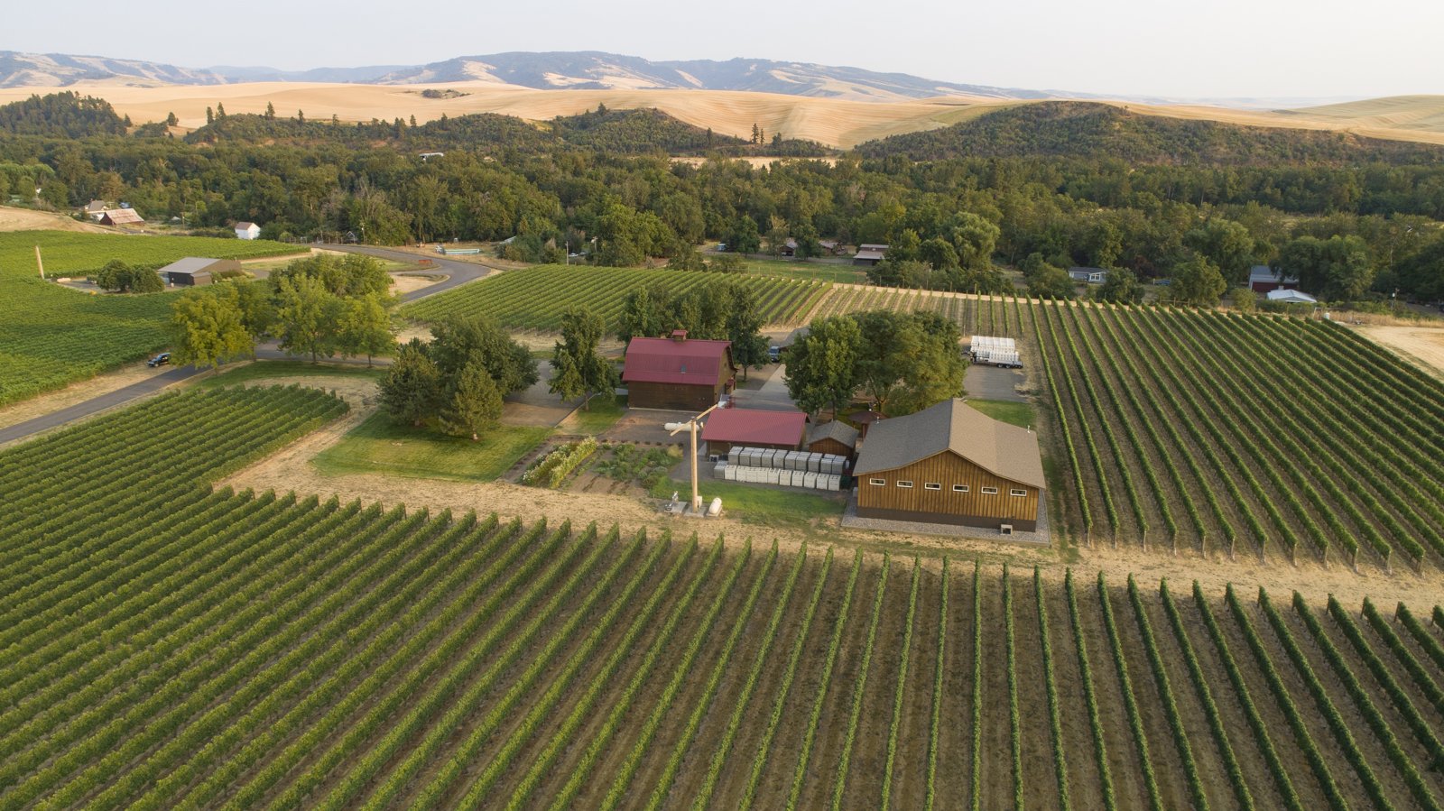 Walla Walla Vintners, Walla Walla, United States