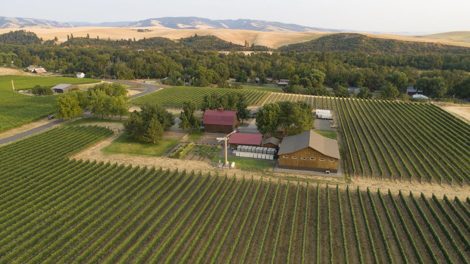 Walla Walla Vintners, Winery in Walla Walla