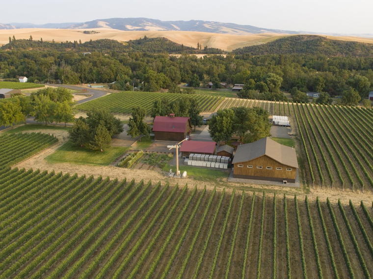 Walla Walla Vintners, Walla Walla, United States