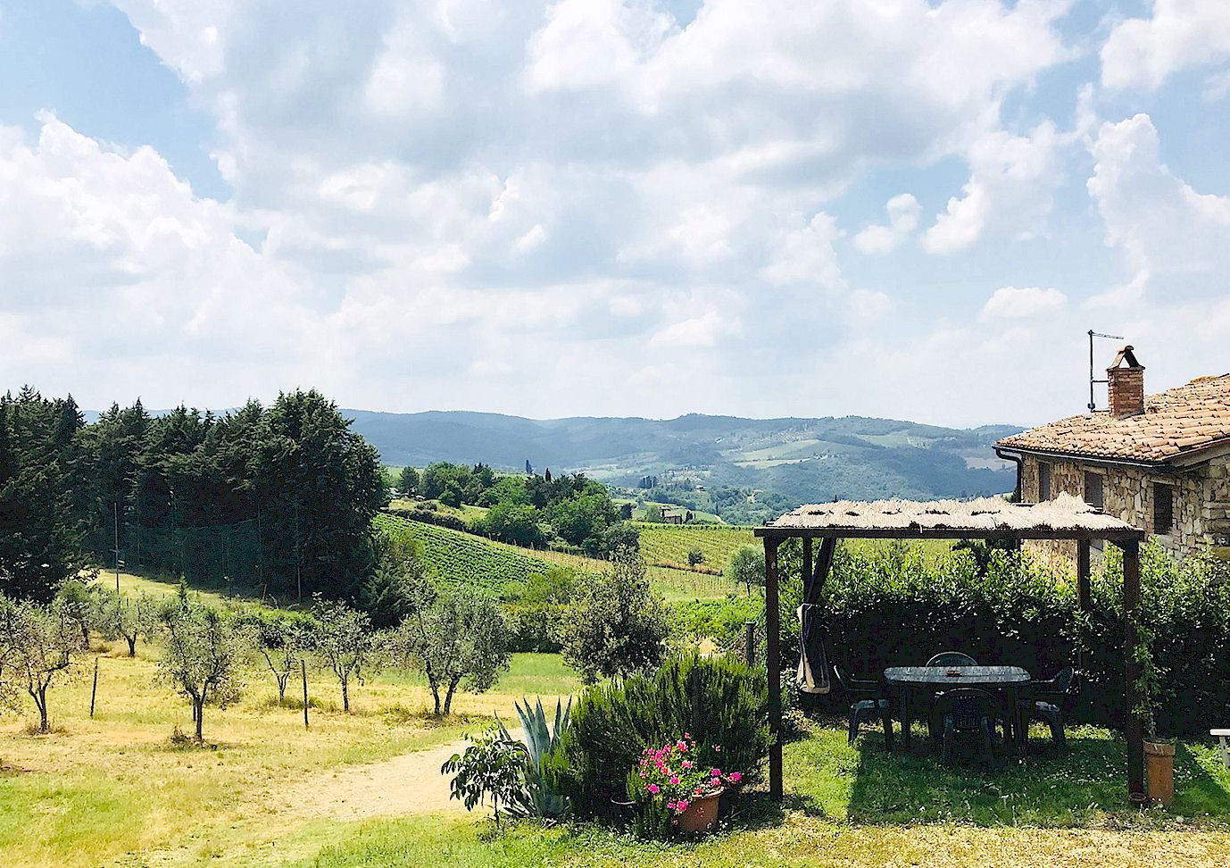 Felciano, Winery in Panzano In Chianti